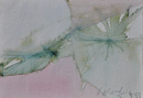 Image 5-4